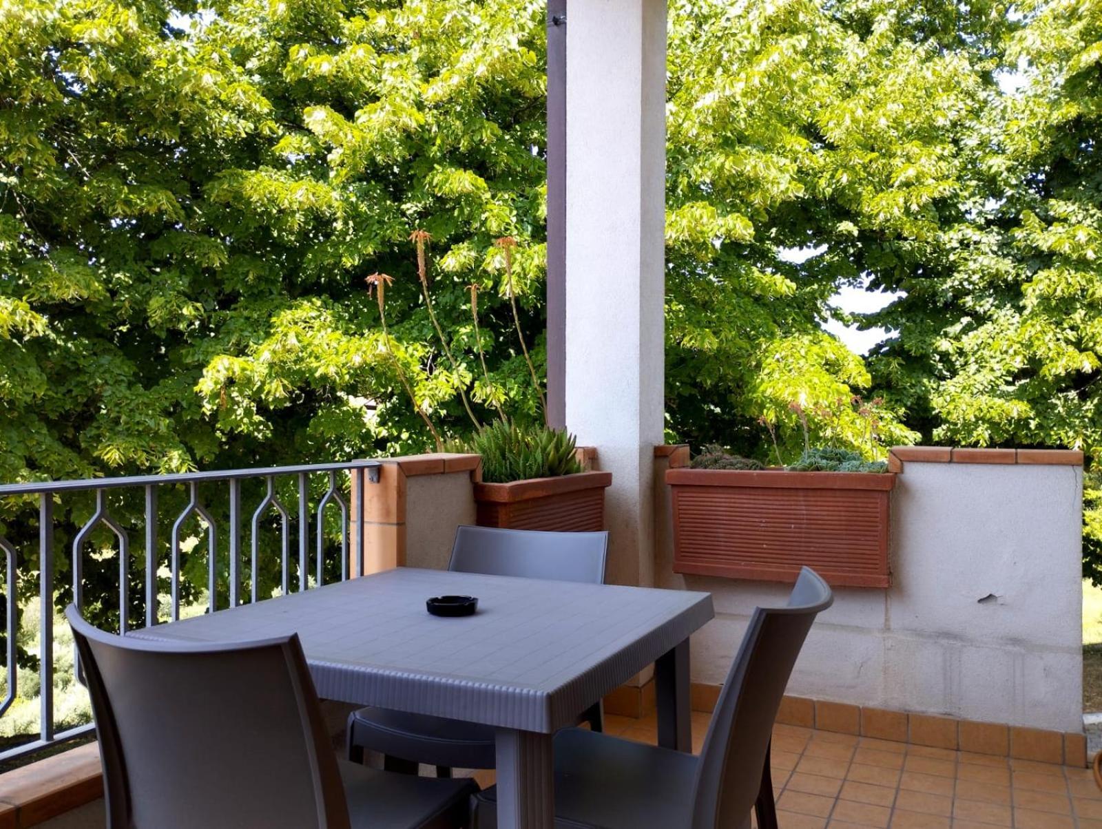 Il Mandorlo B&B Civitanova Alta Eksteriør billede
